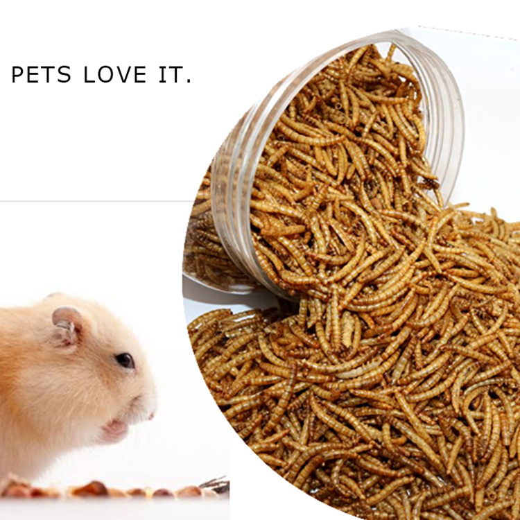 Bird Food Microwave Dried Mealworms Manufacturer in China